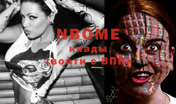 сатива Пестово
