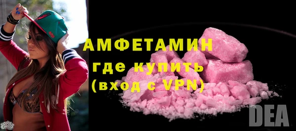 гидра Пересвет