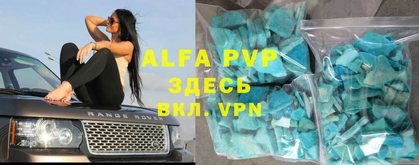 гидра Пересвет