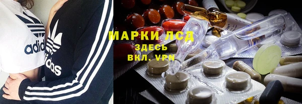 гидра Пересвет