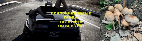 сатива Пестово
