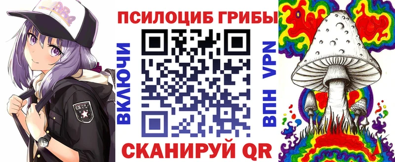 Галлюциногенные грибы Psilocybe где купить Химки